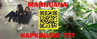 гашик Новозыбков
