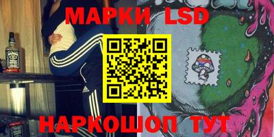 гашик Новозыбков