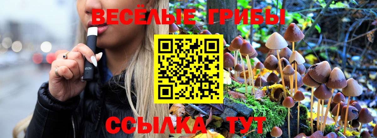 Галлюциногенные грибы Magic Shrooms  что такое   Трёхгорный  Вход с VPN 